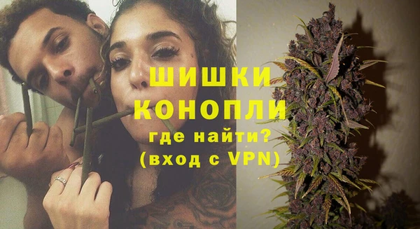 молекула духа Волоколамск